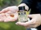 Everything You Need to Know About Full Spectrum CBD-olja illustration